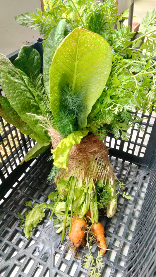 Mixed Greens & Herbs Bundle