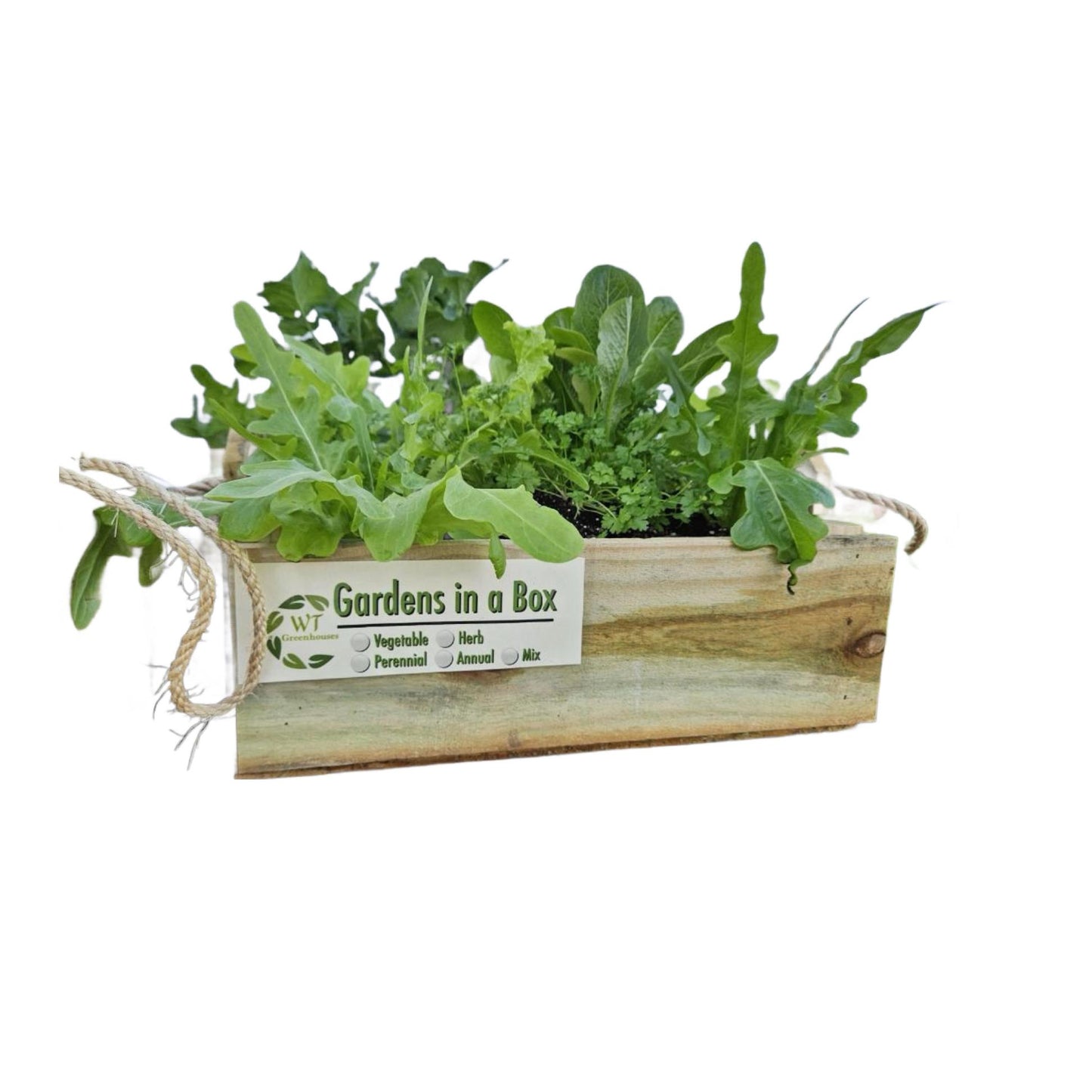 Mixed Herb & Greens Crate